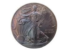 FEATURE 2013 American Silver Eagle Dollar - TONED