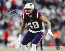 Jehlani Tavai New England Patriots Autographed 8x10 Photo Beckett Holo