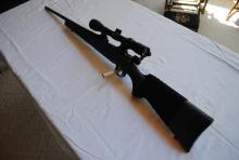 Stevens Model 200 .223 Remington with Bushnell scope, synthetic stock, Serial No. G869468