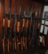 Gun Cabinet