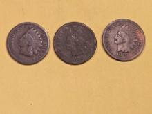 Three better date Indian Cents