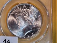 PCGS 1925 Peace Dollar in Mint State 62