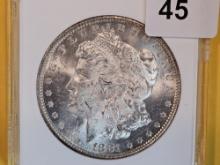ANACS 1881-O Morgan Dollar in Mint State 63
