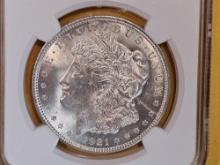 NGC 1921 Morgan Dollar in Mint State 63