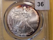 GEM! PCGS 2003 American Silver Eagle in Mint State 67