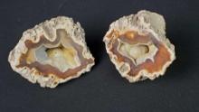 2 agatized coral geodes