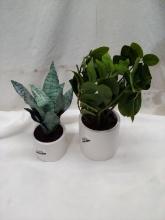 Qty. 2 Potted Artificial Plants