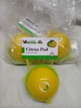Set of 3 Culinary Fresh Citrus Pods