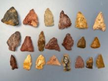 21 Various Cobble Jasper Points, Arrowheads, Longest is 1 3/8", Mainly Found in Gloucester County, N