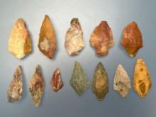 12 Fine Cobble Jasper Piscataway Points, Longest is 1 5/8", Mainly Found in Gloucester County, NJ