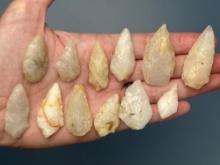12 Quartz Piscataway Related Arrowheads, Longest is 1 3/4", Mainly Found in Gloucester County, NJ