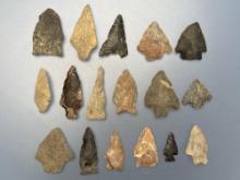 17 Fine Smaller Arrowheads, Longest is 1 3/4", Mainly Found in Gloucester County, NJ