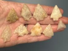 9 Fine Smaller Quartz Arrowheads, Longest is 1 1/8", Mainly Found in Gloucester County, NJ
