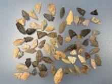 70+ Various Points, Arrowheads, Longest is 1 7/8", Mainly Found in Gloucester County, NJ