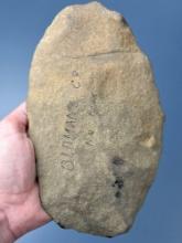 MASSIVE 8 3/4" Thin Argillite Biface, Blade, Found in Oldmans Township, Salem Co., NJ,