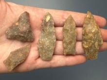5 Fine Cohansey Quartzite Points, Longest is 2 3/16", Found in Gloucester County, NJ