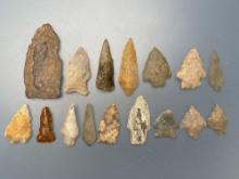 15 Various Arrowheads, Great Condition and Form, Longest is 2 3/8", Found in Gloucester County, NJ