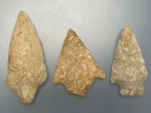 3 Larger Quartzite Points, Longest is 3", Found in Gloucester County, New Jersey