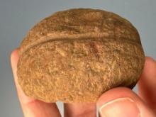 SUPERB 2 1/8" Grooved Loafstone, Bar Weight, Flat Bottom, Found in Gloucester County, New Jersey Ex: