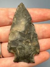 2 1/2" THIN Normanskill Chert Stem Point, Found in Gloucester County, New Jersey
