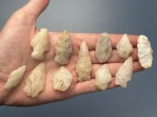 12 Mainly Quartz Points, Longest is 1 7/8", Mainly Found in Gloucester County, New Jersey
