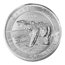 2019 Canadian Silver $2 Polar Bear Half Ounce