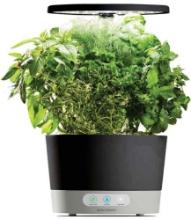 AeroGarden Indoor Garden Hydroponic System with LED Grow Light