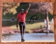 Tiger Woods autographed 8x10 photo with coa