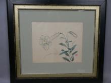Original 19th Century Taki Katei Japanese Woodblock Print White Flower