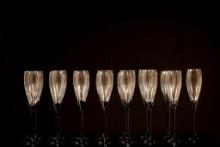Set of 14 Amaryllis Black-Stemmed Champagne Flutes