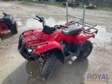 2019 Honda TRX250 4x2 ATV