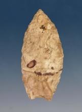 1 9/16" Paleo Spedis found near the mid-Columbia River in the 1960s in nice condition.
