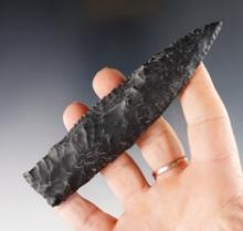 SALE HIGHLIGHT! Exceptionally rare! 4 3/4" Paleo Eden found in Southern Oregon - 1960's.