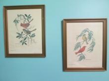 Two 1974 Signed Anne Worsham Richardson Bird Prints