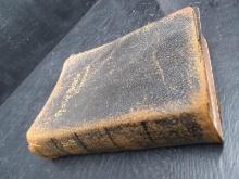 Vintage Book-Holy Bible Illustrated