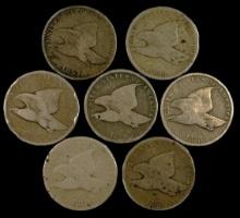 Lot of 7 U.S. flying eagle cents