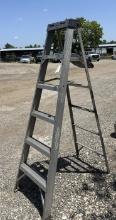 Aluminum 6' Folding Ladder