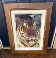 Tiger Print In Wooden Frame