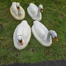 4 swan swimming decoys
