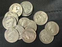 Buffalo Nickels bid x 13