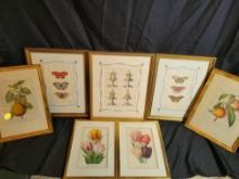 Group of assorted Floral, butterfly and fruit prints