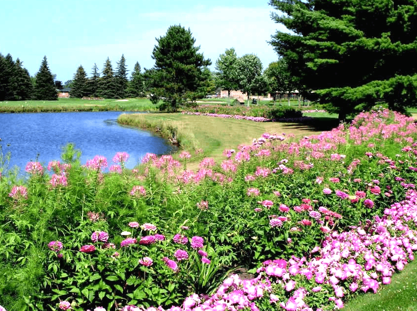 If Golf is Your Sport, Take a Peek at This Michigan Lot!